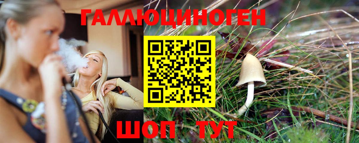 Азнакаево  Галлюциногенные грибы Magic Shrooms  где купить наркоту  Вход с VPN 